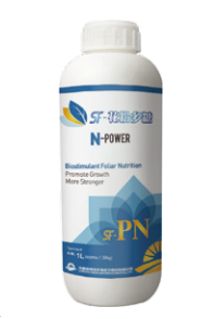N-Power