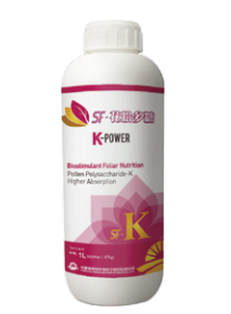 K-Power