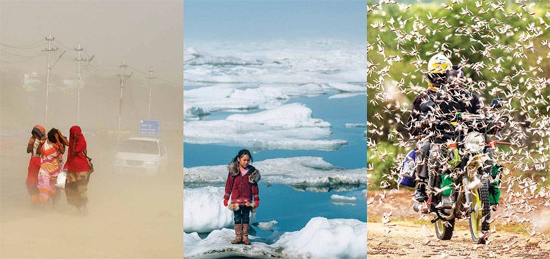 新型生物刺激素集成技術 -- 積極應對非生物脅迫對農業生產影響，助力糧食產量和農產品品質雙提升