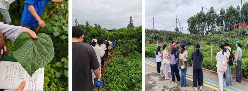 首個!中國農業大學攜手新朝陽啟動“朝陽稼穡計劃”